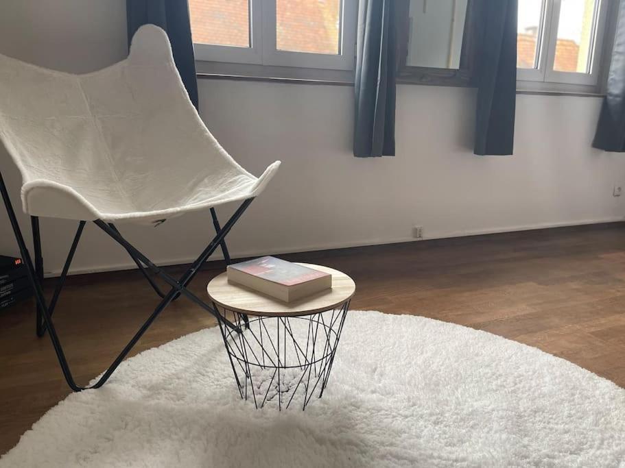 Appartements « La Parenthese » Wissembourg Ngoại thất bức ảnh