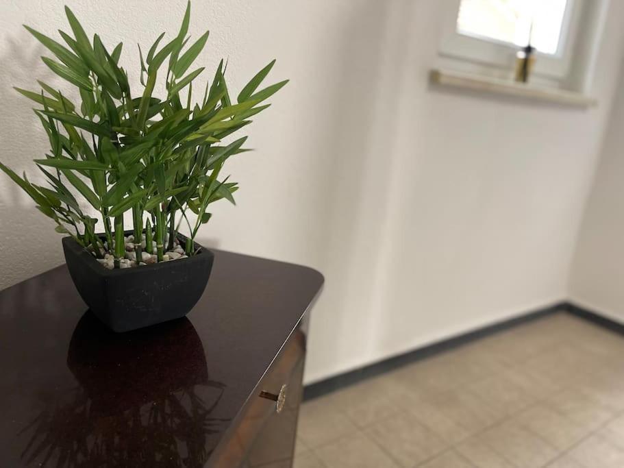 Appartements « La Parenthese » Wissembourg Ngoại thất bức ảnh