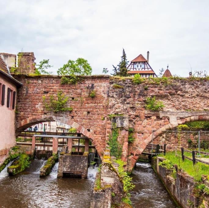 Appartements « La Parenthese » Wissembourg Ngoại thất bức ảnh